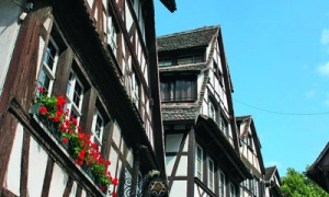 Croisière Majestueuse vallée du Rhin romantique : 13RHIN